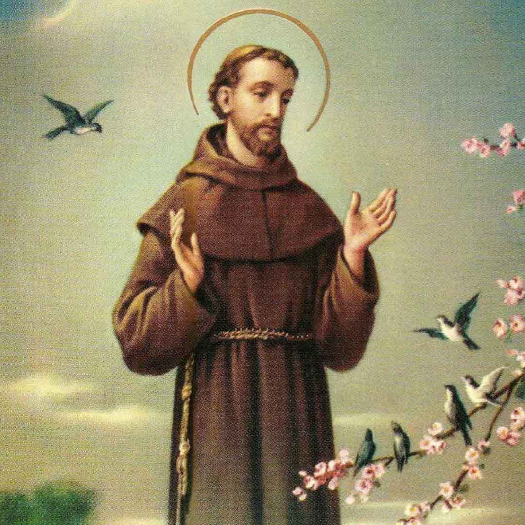San Francisco De As s Vida De Santo